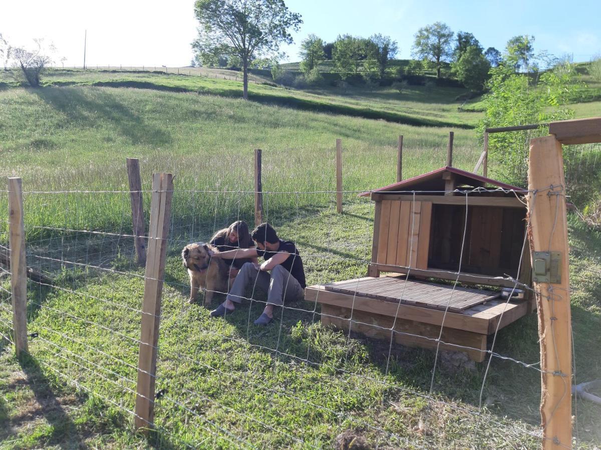 Eguzkitze Alojamiento Rural Lss00085 Abaltzisketa Esterno foto