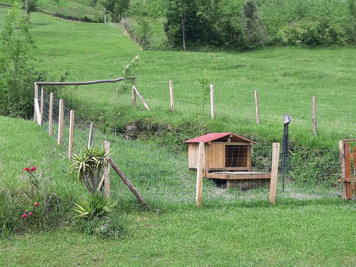 Eguzkitze Alojamiento Rural Lss00085 Abaltzisketa Esterno foto